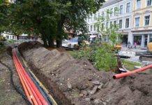 Graveinstruksen i Oslo kommune: Krav om sertifisert trepleier