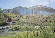 Blant blomster, bier og pokémons