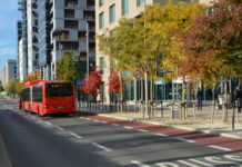 Dronning Eufemias gate – et urbant arboret