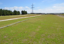 Bergknapp – norsk storprodusent av sedum-matter