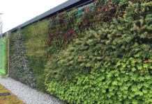 Hvordan lykkes med en grønn vegg?