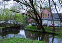 Alnastien kan få landskapspris