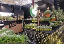 Årets nykommere kåret i Essen