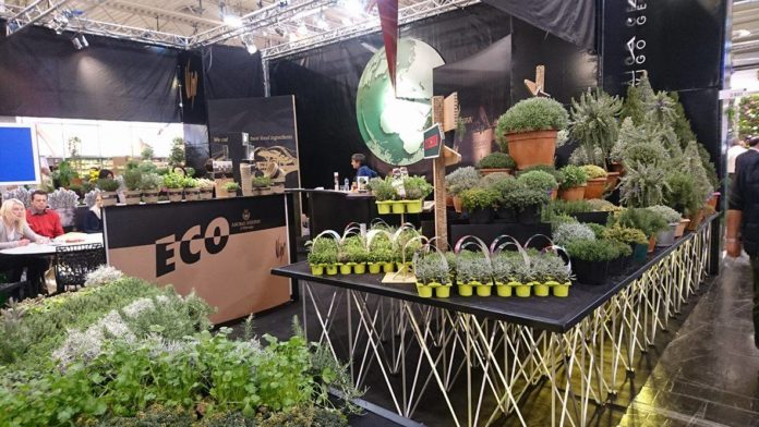 16251344_10154722819436049_1153911373_o