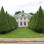 Carpinus_betulus_formklipt_Gunnebo2