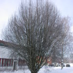 DSCN0420