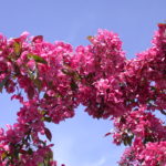 DSCN0708
