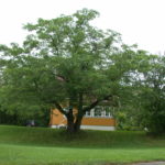 DSCN0726