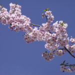DSCN1378