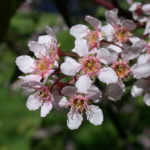 DSCN2588