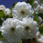 DSCN4605