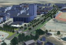 Tester ut planter som tåler 25.000 biler i døgnet