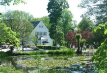 Vitenparken med store utbyggingsplaner