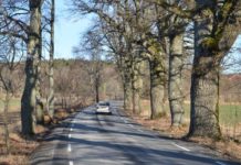 Alleen ved Værne kloster blir sikret og bevart