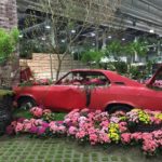 bil hagemesse