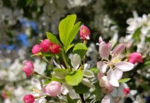 Norske standarder på høring