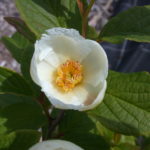 DSCN0011