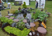 Cph Garden – med inspirasjon fra Chelsea Flower Show