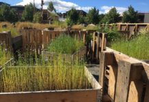 Levende torg på Lillestrøm