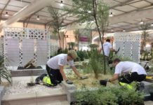 Anleggsgartnerlærlinger i yrkes-VM i Abu Dhabi