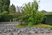 Den japanske hagen i Slottsträdgården i Malmö