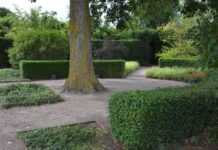 I skyggen av et tre – Mästarrabatten 2012