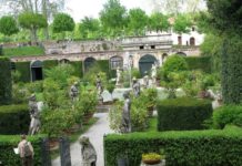 Oransjerienes historie