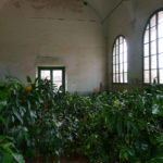 Villa Torrigiani, L1220013