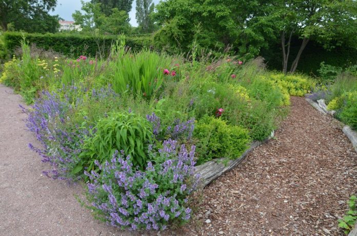 DSC_1795-e1511891632914