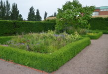 Reisemål: Linnéhagen ved Malmöhus slott