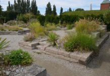 En hage for tørre forhold