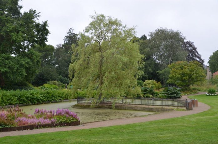 DSC_7759-1-e1512143193208