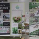 IMG_8755-300×200