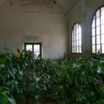 Villa-Torrigiani-L1220013-1024×683