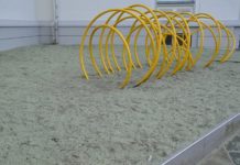 Olivin – et grønt innslag i uterommene