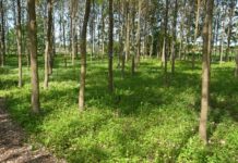 Landskapslaboratorium