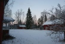 Godt nytt år fra redaksjonen