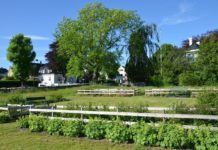 Gamle Stavanger-hager: Holmeegenes