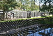 Fra fuglepark til lekeplass eller blomsterpark på Raufoss?