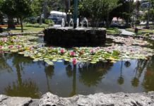 Er du lei snø og kulde?