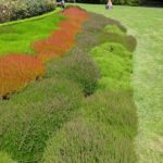 DSC00591 – Larnach 3