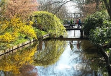 Brenner du for blågrønn faktor? Norsk Standard trenger din hjelp