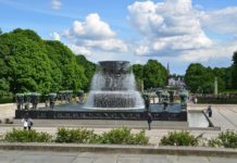 Første vaksinering av almetrær i Norge