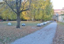 Det skjer no´ med Klosterenga