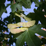 DSCN01254