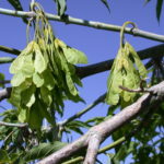 DSCN0476