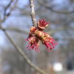 DSCN4228