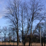 DSCN7961