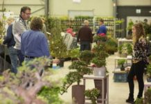 Besøk belgisk messe for busker og trær