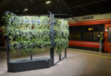 Plantevegger gir bedre klima under bakken